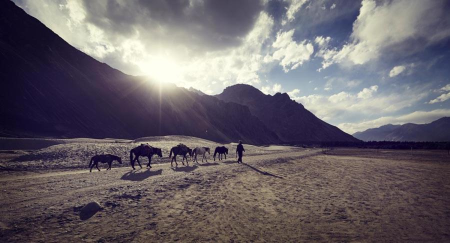 Chamba Camp Diskit Hotel Nubra Exterior photo