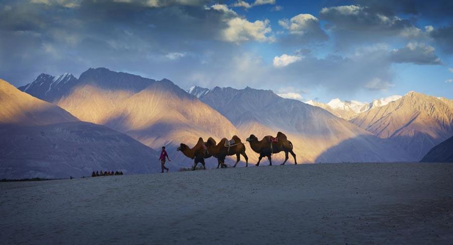 Chamba Camp Diskit Hotel Nubra Exterior photo