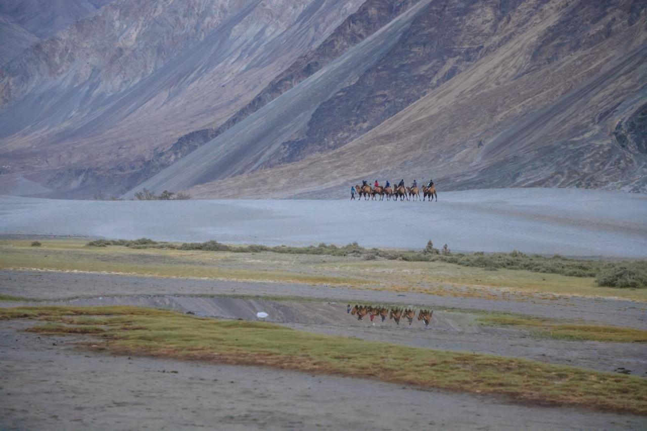 Chamba Camp Diskit Hotel Nubra Exterior photo