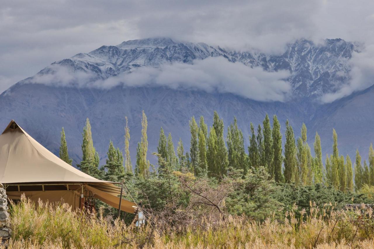 Chamba Camp Diskit Hotel Nubra Exterior photo